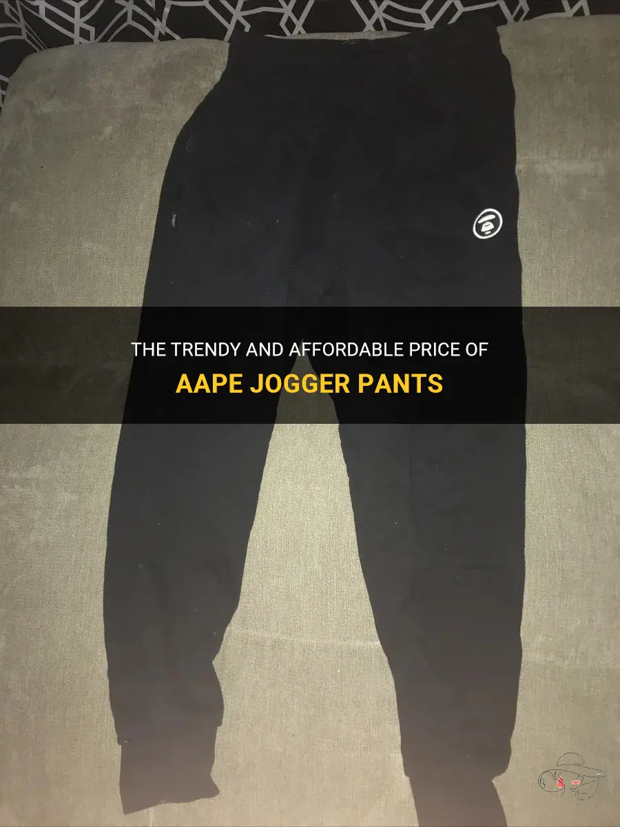 The Trendy And Affordable Price Of Aape Jogger Pants | ShunVogue