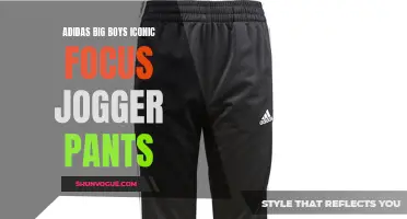 Stay Cool and Stylish with adidas Big Boys Iconic Focus Jogger Pants