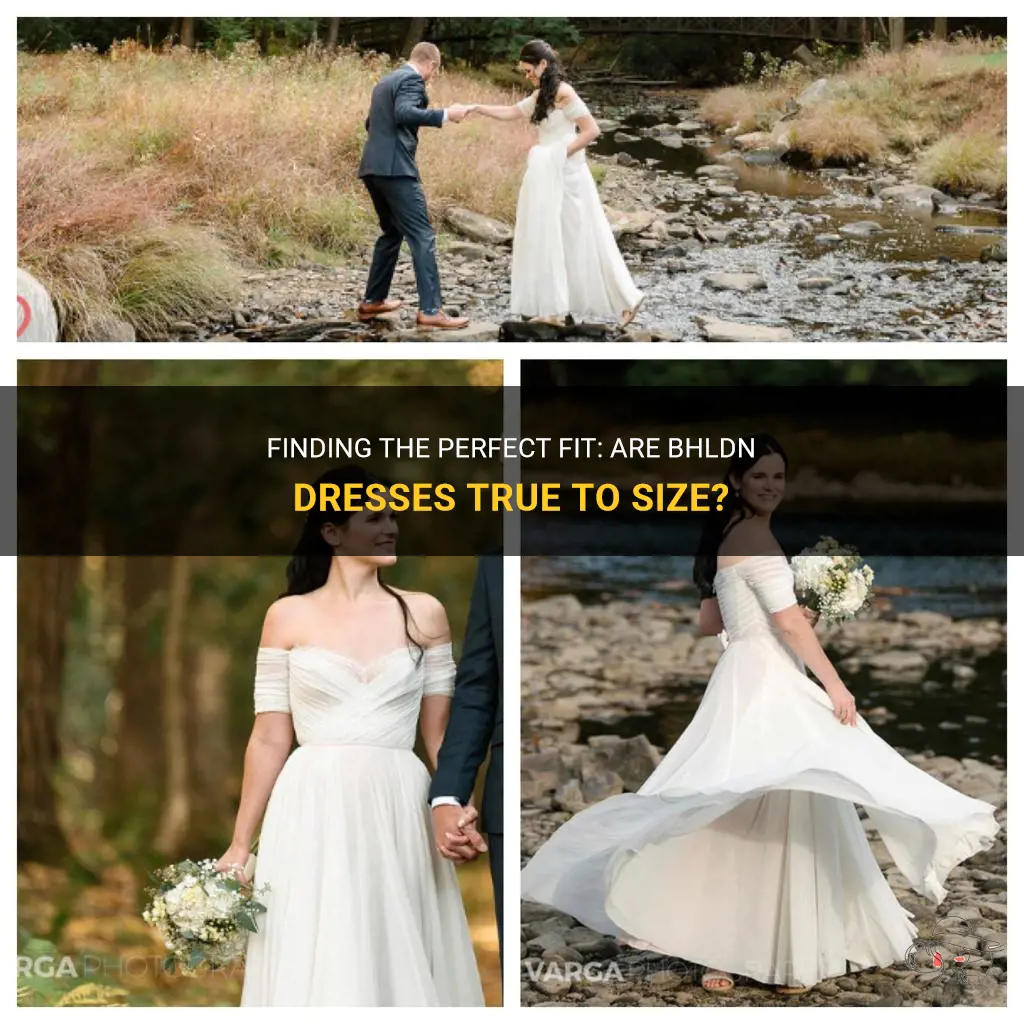 are bhldn dresses true to size