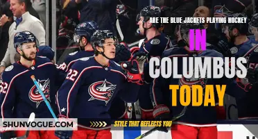 Is There a Blue Jackets Hockey Game Happening in Columbus Today?