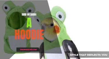 The Fashion Evolution: The Rise of the Bird Wearing a Hoodie