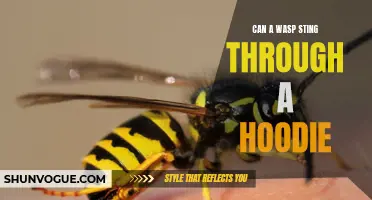 Can a Wasp Sting Through a Hoodie? Examining the Barrier Between You and a Wasp's Sting