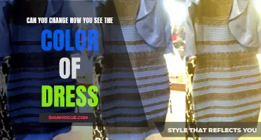 Can You Change How You See the Color of a Dress?