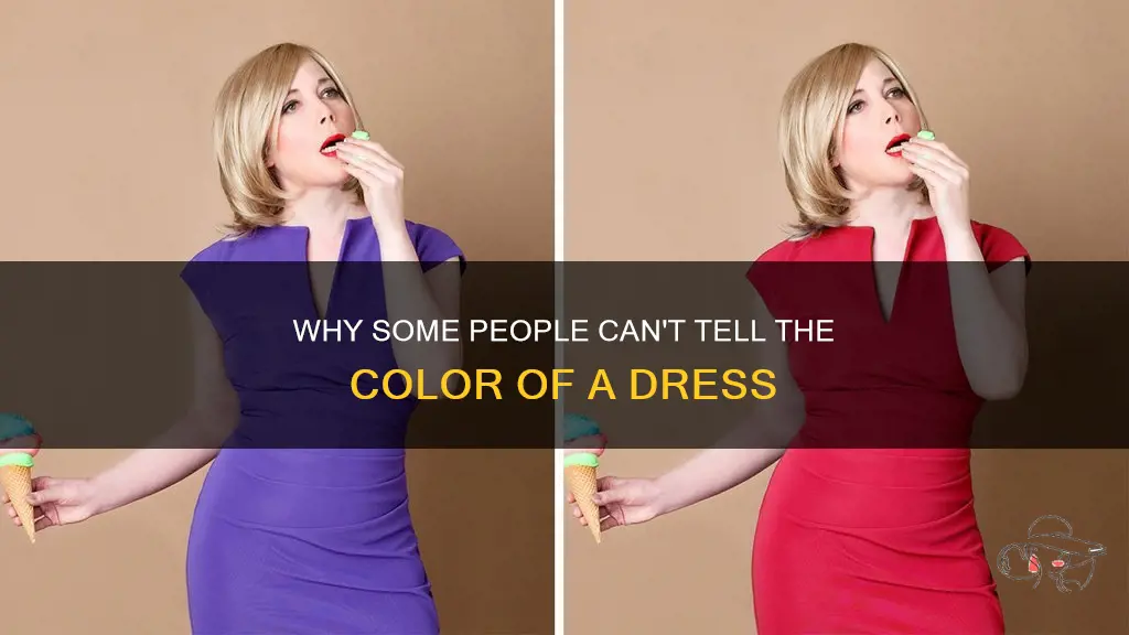Why Some People Can't Tell The Color Of A Dress | ShunVogue