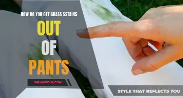 Tips for Removing Grass Stains from Pants: A Complete Guide