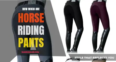 The Ultimate Guide to the Cost of Horse Riding Pants