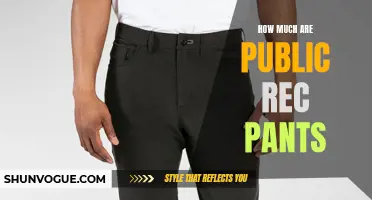 Unveiling the Affordable Prices of Public Rec Pants for the Fashionable Individuals