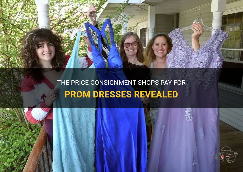 The Price Consignment Shops Pay For Prom Dresses Revealed | ShunVogue