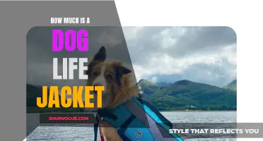 The Essential Guide to Pricing a Dog Life Jacket