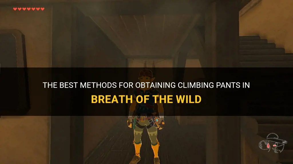 The Best Methods For Obtaining Climbing Pants In Breath Of The Wild ...
