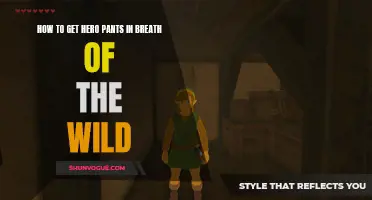 Unleash the Hero Within: A Guide to Obtaining Hero Pants in Breath of the Wild