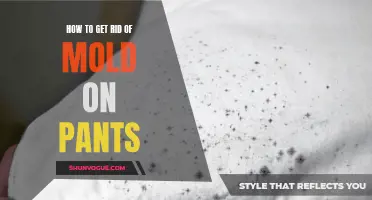 Effective Ways to Remove Mold Stains from Pants