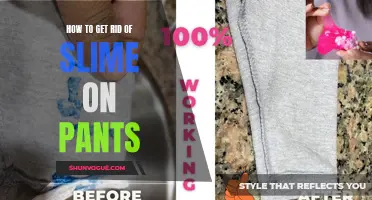 Effective Methods to Remove Slime Stains from Pants