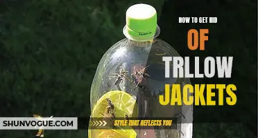 Effective Methods for Eliminating Yellow Jackets from Your Property