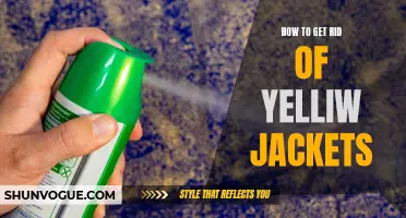 Effective Methods to Eliminate Yellow Jackets From Your Property