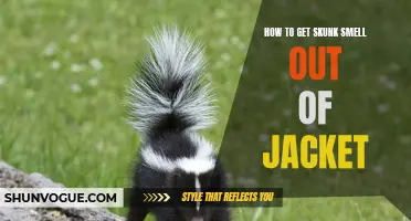 Effective Ways to Remove Skunk Smell From Your Jacket