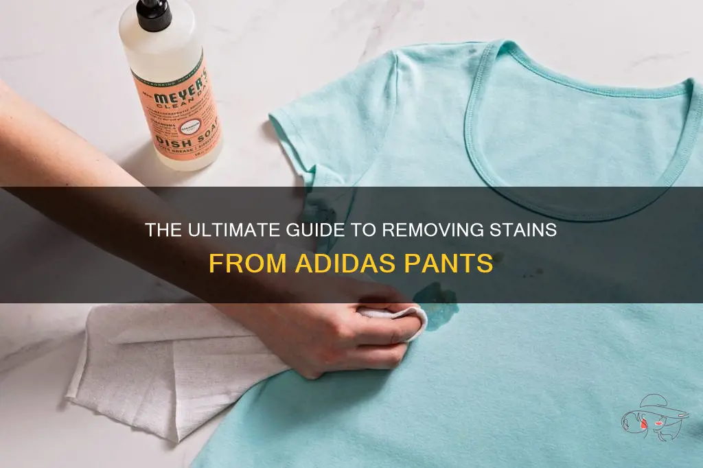 how to get stains out of adidas pants