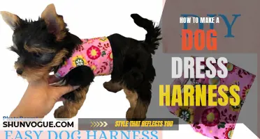Create a Stylish and Comfortable Dog Dress Harness With These Simple Steps