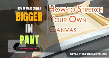 Expanding Your Canvas: A Guide to Making It Bigger in Pant
