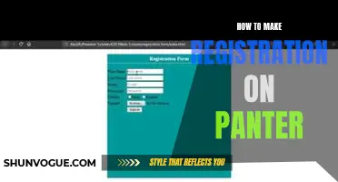 A Step-by-Step Guide on Making a Registration on Panter