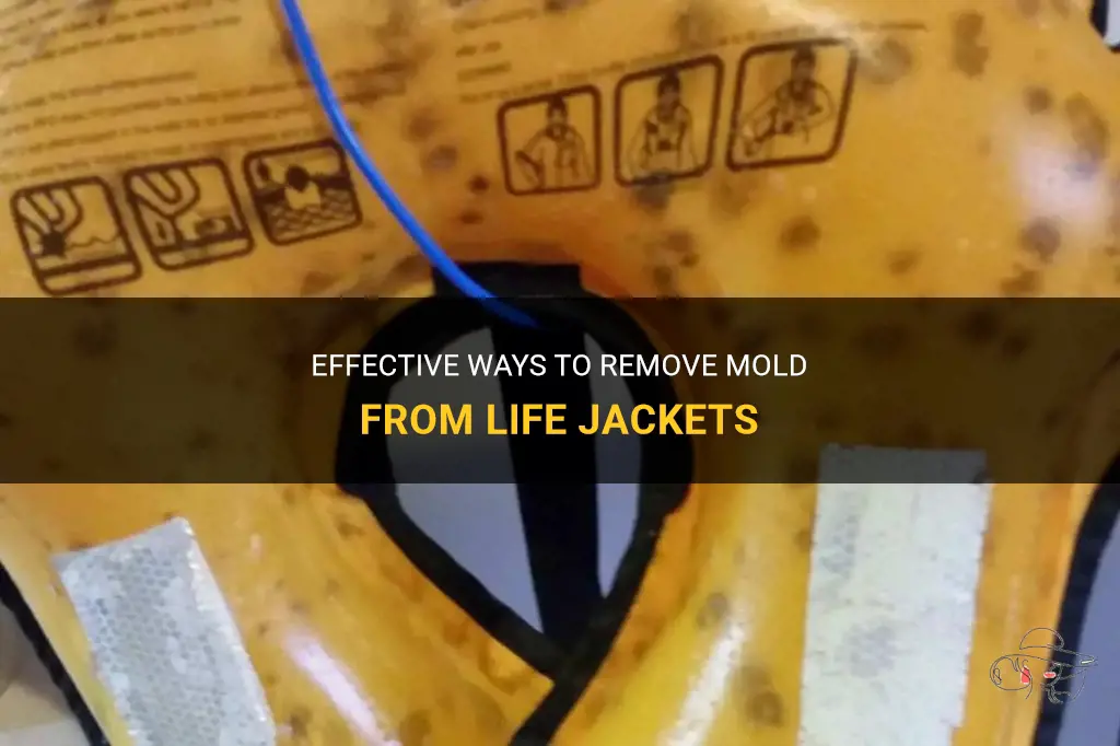 how to remove mold from life jackets