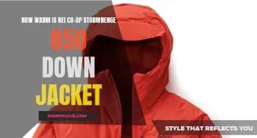 Exploring the Warmth of the REI Co-op Stormhenge 850 Down Jacket