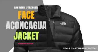 The North Face Aconcagua Jacket: A Warm Companion for Cold Adventures