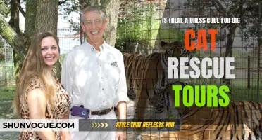 Decoding the Dress: Understanding the Attire for Big Cat Rescue Tours