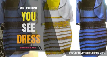 The Perplexing Question: What Color Can You See the Dress?