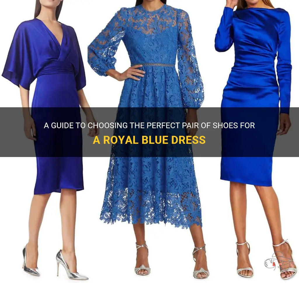 A Guide To Choosing The Perfect Pair Of Shoes For A Royal Blue Dress ...