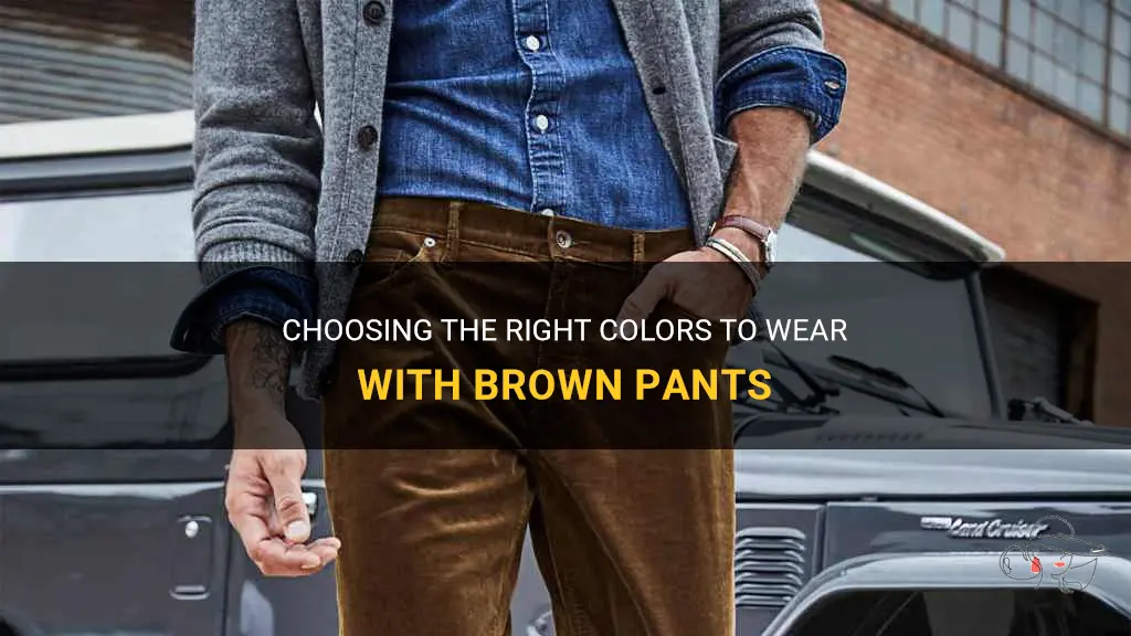 Choosing The Right Colors To Wear With Brown Pants | ShunVogue