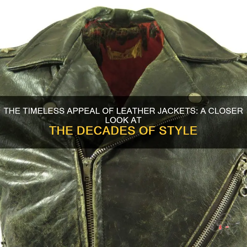 The Timeless Appeal Of Leather Jackets: A Closer Look At The Decades Of ...