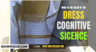 The Cognitive Science Behind the Perceived Colors of 'The Dress