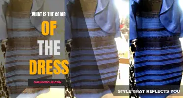 Exploring the Controversy: What Color is the Dress?