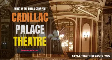 Understanding the Dress Code for Cadillac Palace Theatre: From Casual to Glamorous, What Should You Wear?