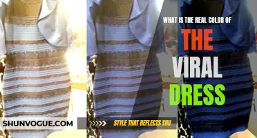 The Truth Unveiled: Exploring the Real Color of the Viral Dress