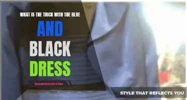 The Mystery Unveiled: Decoding the Trick Behind the Blue and Black Dress