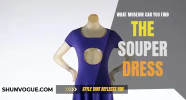 Discover the Iconic Souper Dress: A Must-See Exhibit at These Museums
