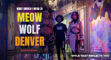 Meow Wolf Denver Dress Code Guide