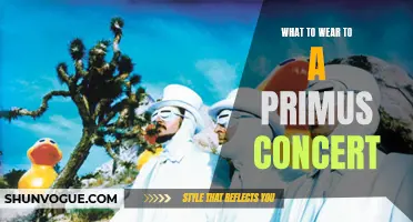 Dress to Impress: What to Wear to a Primus Concert