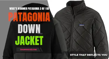 Comparing Warmth: Patagonia 3-in-1 vs Patagonia Down Jacket