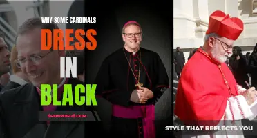 The Mystery Unveiled: Unraveling Why Some Cardinals Dress in Black